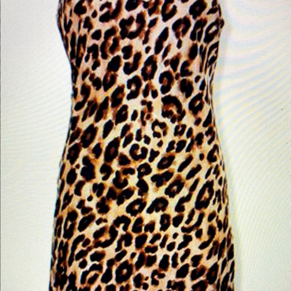 👗FOREVER 21 LEOPARD PRINT SLIP DRESS 🐆 (NWT)